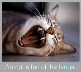 I'm not a fan of the fangs｜ng 字尾英文發音