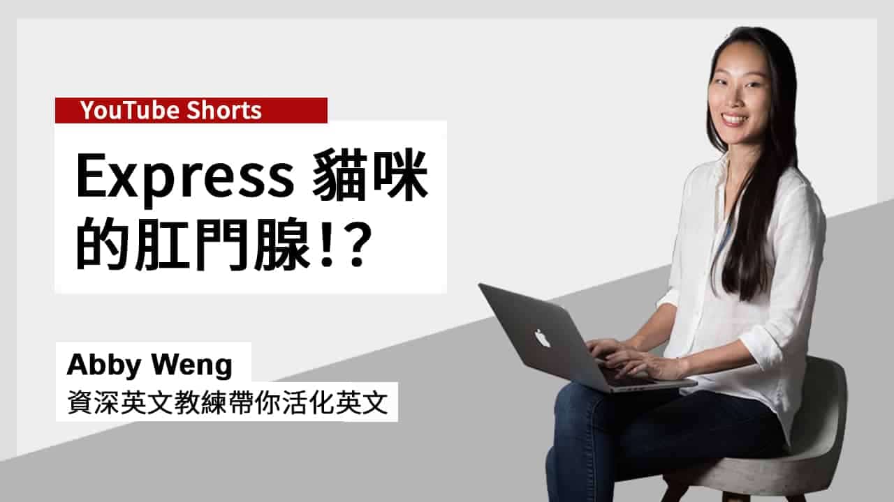 「政治」字尾 (politicize/political) 字根 (-ize 動詞 / -al 形容詞)