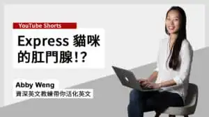 express 中文